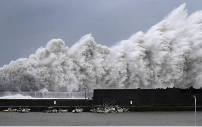 onde aki kochi.JPG onde aki kochi.JPG